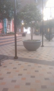 The bustle of the mall inside gets you into the festive mood!