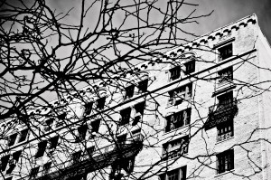 Young,  stupid,  scared,  and abandoned by my roommates,  I stood on the roof of this building and contemplated my future.