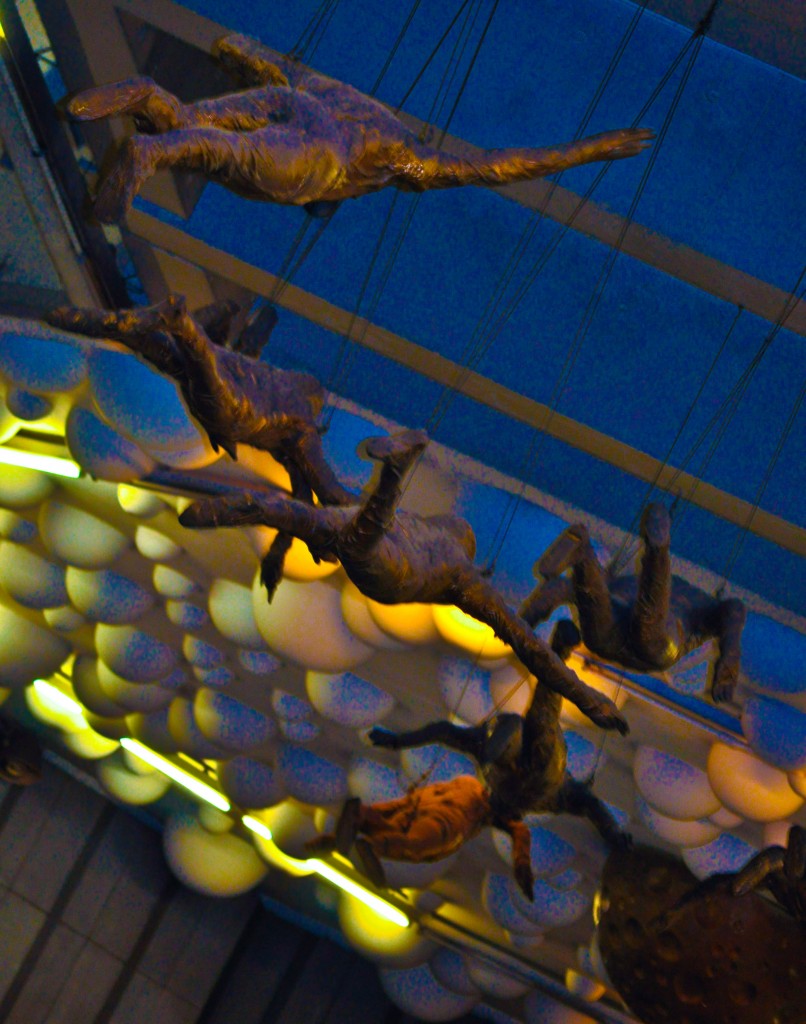 Flying in the subway tunnels is officially encouraged.   Actually,  I got warned by an incredibly polite cop about a 500 Euro fine for taking pictures in the subway!