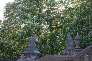 The old abbey is in a very peaceful setting.