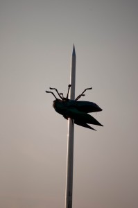 Not all of the art in Leuven is a million years old.   This is the top of a giant sewing needle in the town square.   The impaled fly is about the size of a shetland pony.