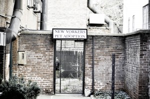 Feels almost Dickensian,  doesn't it?