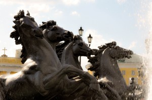 All the pretty horses...