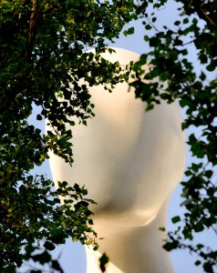 What the hell is this?