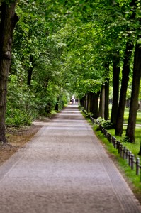 The Tiergarten at dusk
