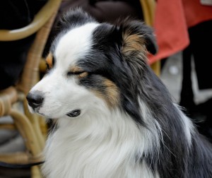 He just heard about Donald Trump's candidacy.